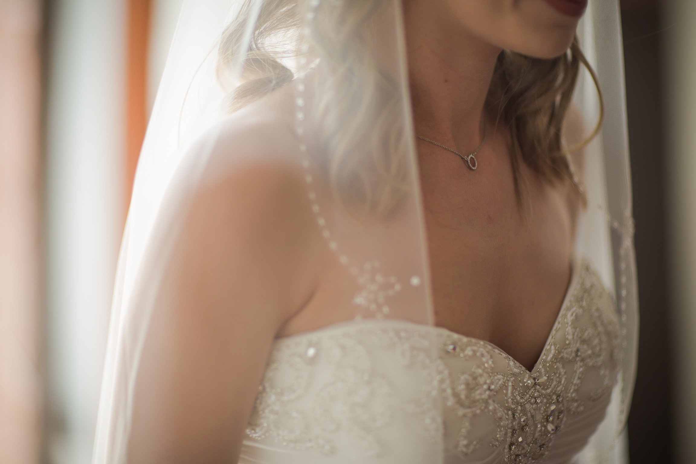 Woman Wearing Wedding Dress and Veil